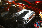Extreme Auto Fest