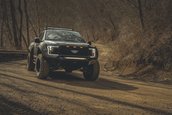 F-150 Mil-Spec Automotive