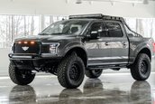 F-150 Mil-Spec Automotive