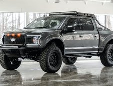 F-150 Mil-Spec Automotive