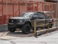 F-150 Mil-Spec Automotive