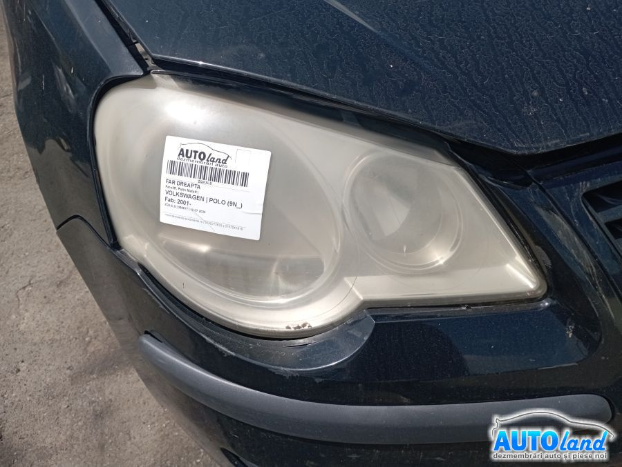 Far Dreapta Facelift, Putin Matuit Volkswagen POLO 9N 2001