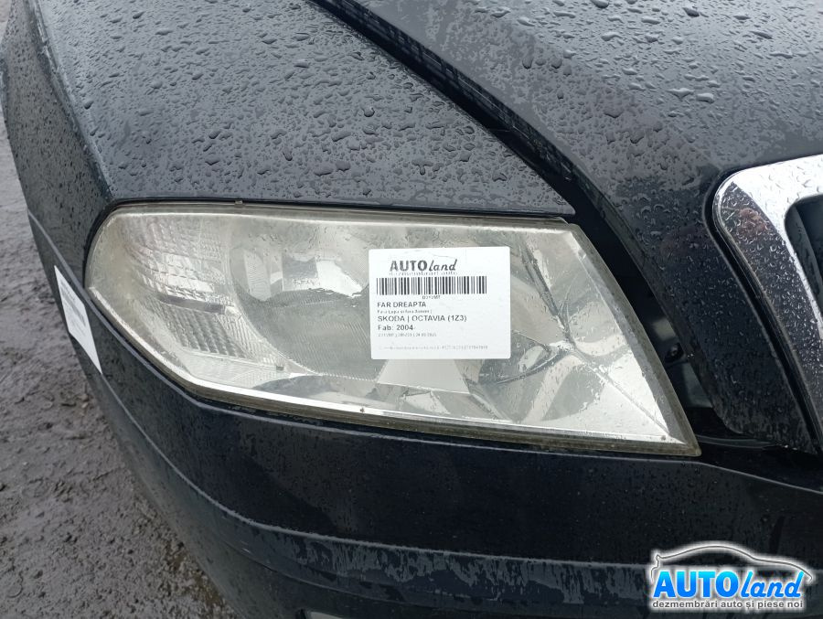 Far Dreapta Fara Lupa si fara Xenon Skoda OCTAVIA 1Z3 2004