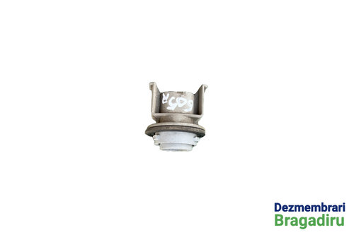 Fasung bec semnalizare fata dreapta Dacia Solenza [2003 - 2005] Sedan 1.9 D MT (63 hp)