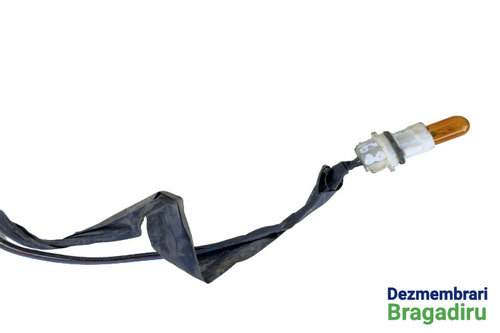 Fasung bec semnalizare fata dreapta pe aripa Ford Focus 2 [2004 - 2008] wagon 5-usi 1.8 MT (125 hp)