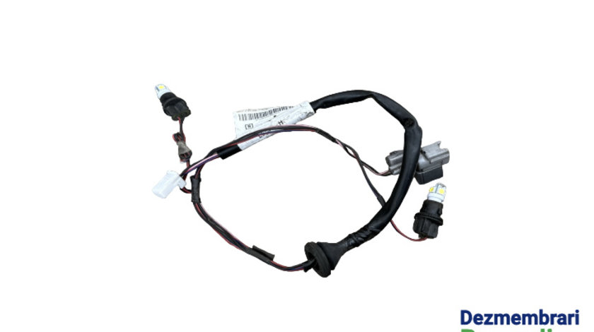 Fasung lampa numar cu instalatie si mufe Cod: 24055-JD00A Nissan Qashqai J10 [2007 - 2010] Crossover 5-usi 1.5 DCI MT FWD (106 hp)