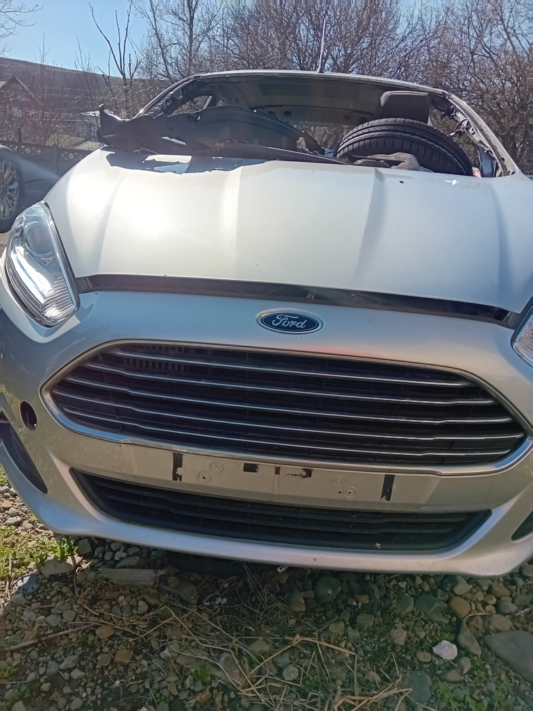 Fata completa Ford Fiesta 2013
