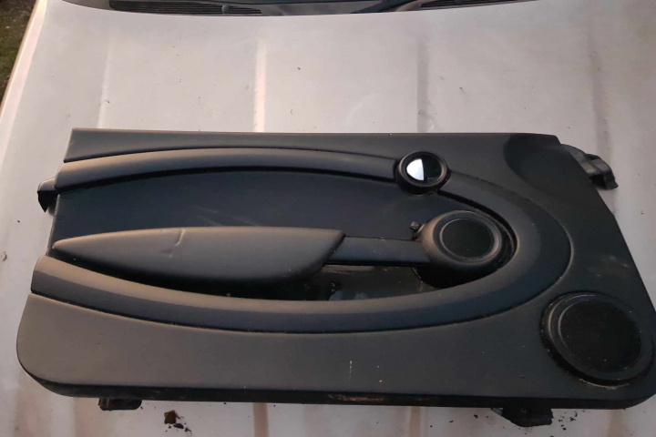 Fata de usa stanga fara macara Mini Cooper R56 [2006 - 2015]