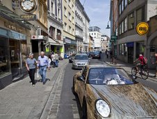 Ferdinand GT3 RS - Porsche de criza?