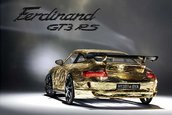 Ferdinand GT3 RS - Porsche de criza?