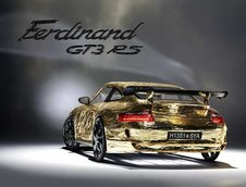 Ferdinand GT3 RS - Porsche de criza?