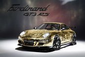 Ferdinand GT3 RS - Porsche de criza?