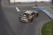Ferdinand GT3 RS - Porsche de criza?