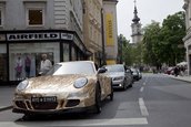 Ferdinand GT3 RS - Porsche de criza?