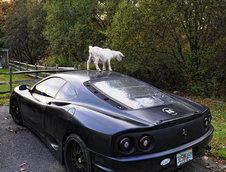 Ferrari 360 si Capra