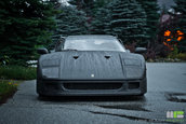 Ferrari F40 carbon