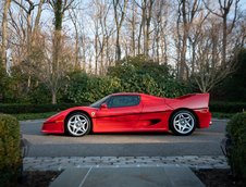 Ferrari F50 Berlinetta Prototip