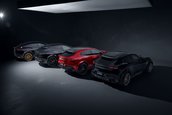 Ferrari Purosangue de la Novitec