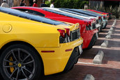 Ferrari Scuderia Gathering