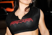 Fetele de la Hot Import Nights - Miami - Decembrie 2007