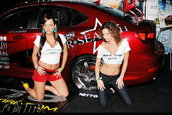 Fetele de la Hot Import Nights - Miami - Decembrie 2007