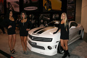 Fetele de la SEMA Show 2010