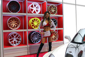 Fetele de la SEMA Show 2015