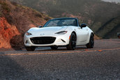 Fiat 124 Spider vs Mazda MX-5