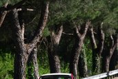 Fiat 500 Cabrio - Primele schite oficiale