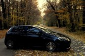 Fiat Grande Punto by Mircea - Acoustic (Black) Beauty