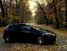 Fiat Grande Punto by Mircea - Acoustic (Black) Beauty