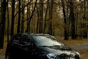 Fiat Grande Punto by Mircea - Acoustic (Black) Beauty