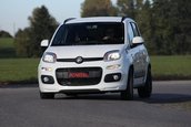 Fiat Panda by Novitec