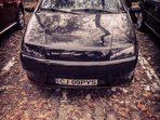 Fiat Punto Buburuza