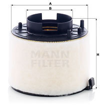 Filtru aer (C17009 MANN-FILTER) AUDI