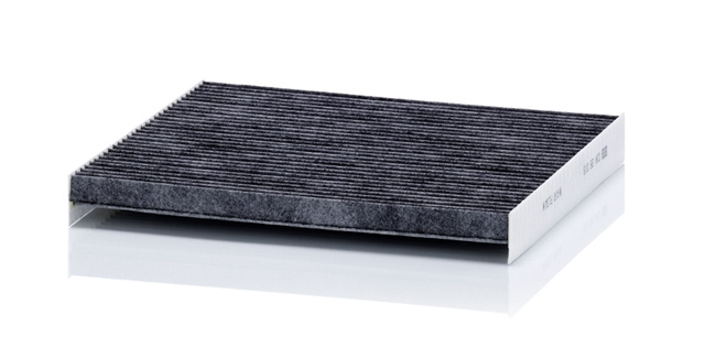 Filtru Aer Cabina Mann-filter Hyundai CUK 26 019