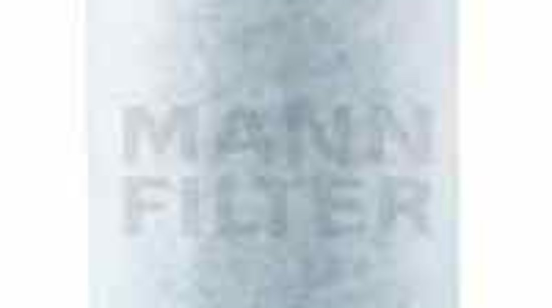 Filtru aer CITROËN JUMPER platou / sasiu MANN-FILTER C 17 237/1
