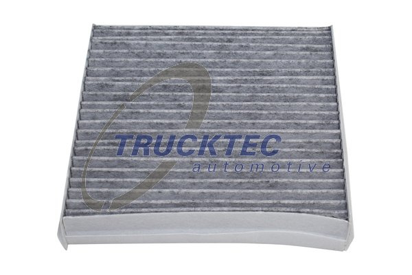 Filtru, aer habitaclu (0259138 TRUCKTEC) SMART