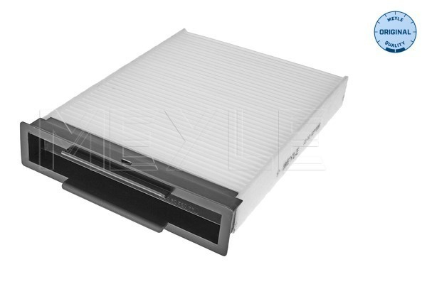 Filtru, aer habitaclu (16123190010 MEYLE) RENAULT