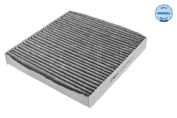Filtru, aer habitaclu (16123200006 MEYLE) RENAULT