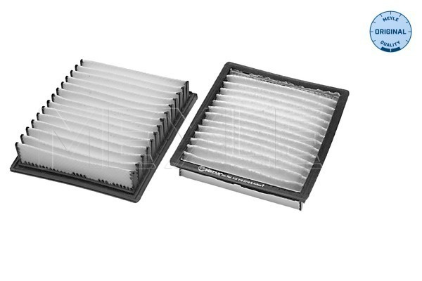 Filtru, aer habitaclu (3123190016S MEYLE) BMW