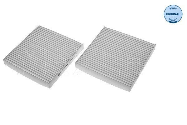Filtru, aer habitaclu (3123190023S MEYLE) BMW