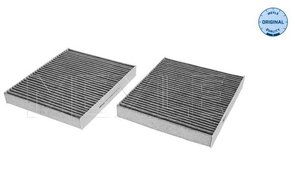 Filtru, aer habitaclu (3123200008S MEYLE) BMW,BMW (BRILLIANCE)