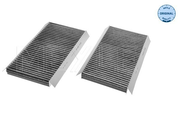 Filtru, aer habitaclu (3123200012S MEYLE) BMW
