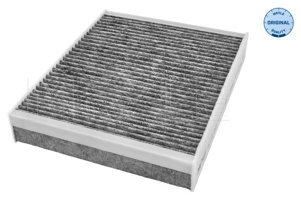 Filtru, aer habitaclu (3123240021 MEYLE) BMW,BMW (BRILLIANCE)