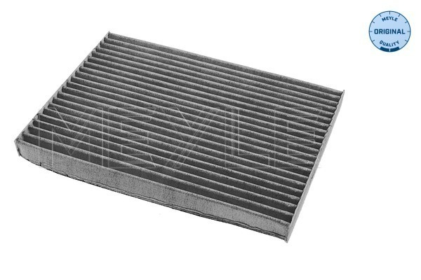 Filtru, aer habitaclu (36123200005 MEYLE) NISSAN