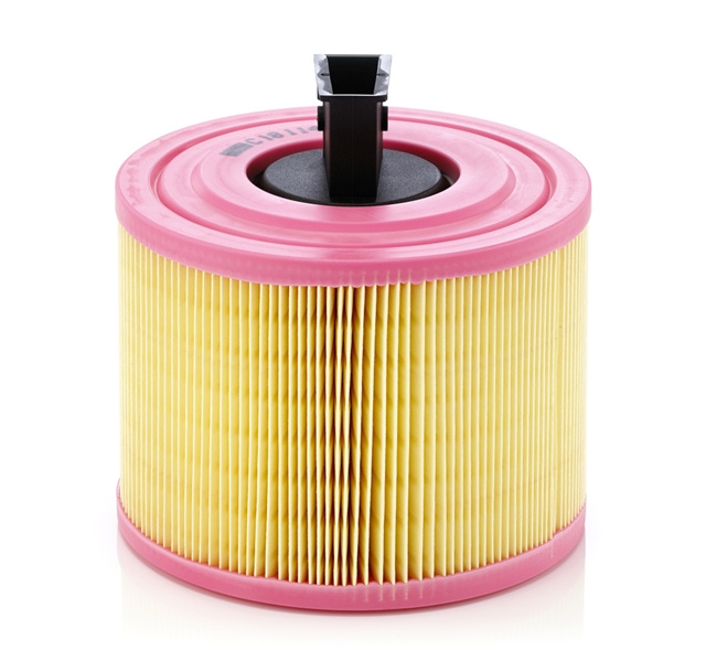 Filtru Aer Mann-filter Bmw C 18 114