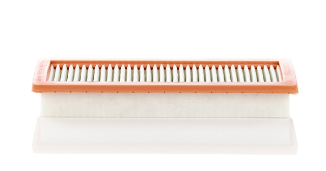 Filtru Aer Mann-filter Bmw C 36 003