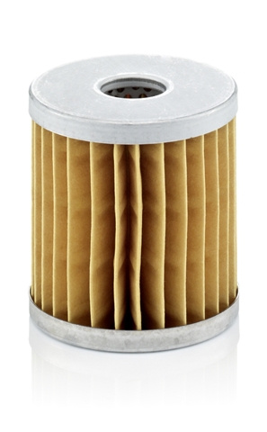 Filtru Aer Mann-filter C 66
