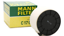 Filtru Aer Mann Filter C17009